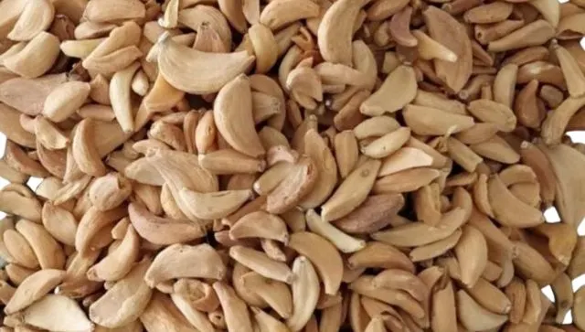 dehydrated garlic flakes