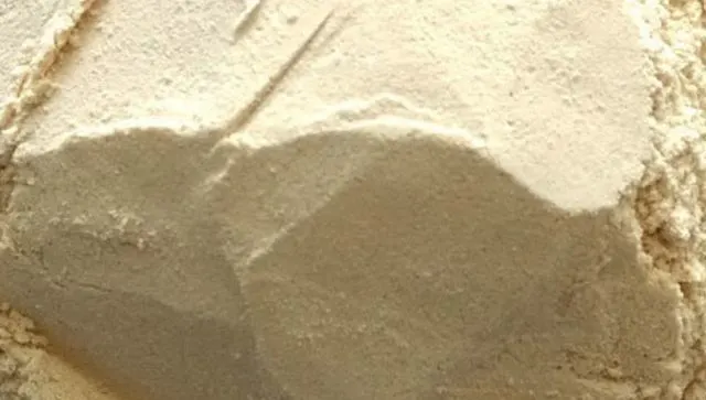 dehydrated garlic powder