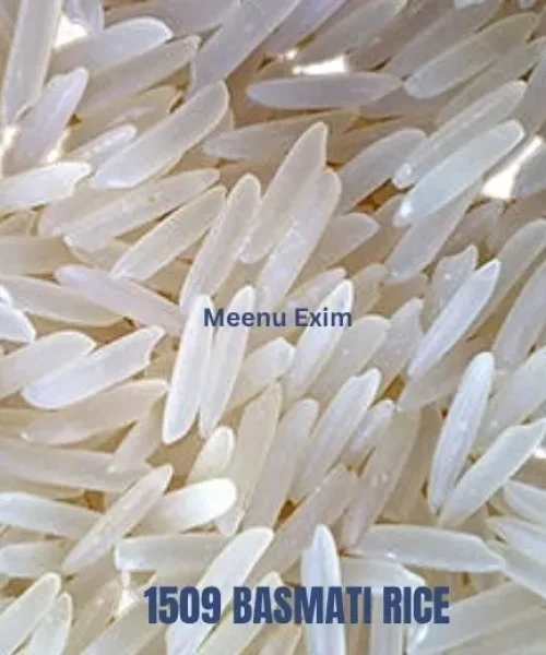 1509 Basmati Rice (2) 1509 Basmati Rice (2)